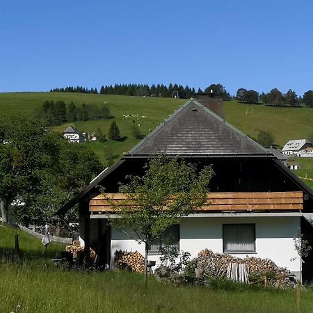 Schwarzwaldhaus Sonnenstrasse, Oberried-Hofsgrund, Dreisamtal Villa Oberried  Kültér fotó