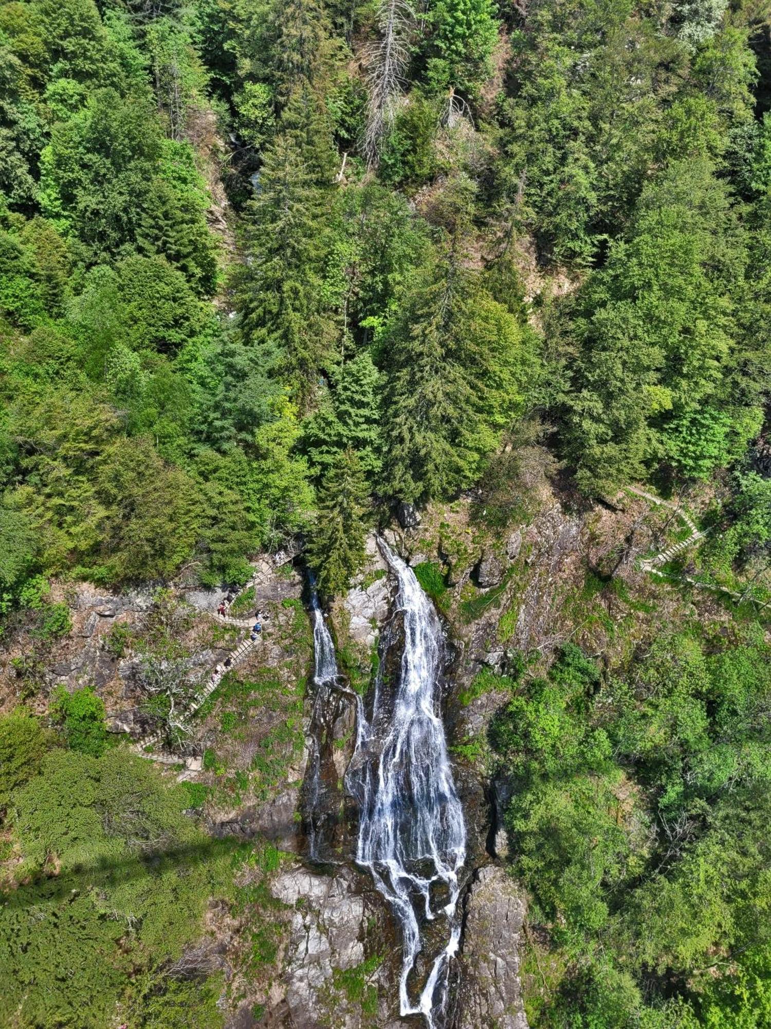 Schwarzwaldhaus Sonnenstrasse, Oberried-Hofsgrund, Dreisamtal Villa Oberried  Kültér fotó